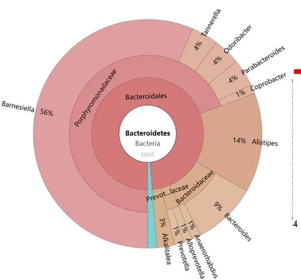 Open access visualization of Sunburst, Species Annotation, KRONA Schematic