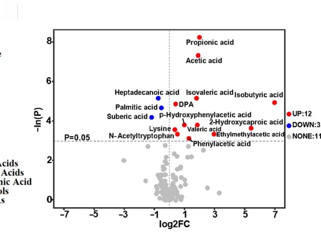 Open access visualization of Volcano Plot, Scatter Plot, Metabolic Changes