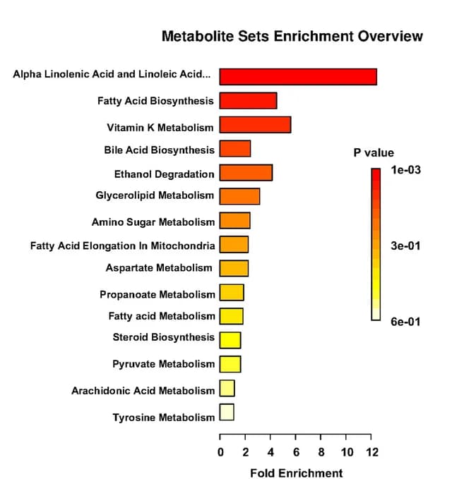 Open access visualization of Bar Plot, Metabolic Pathways, Metabolites