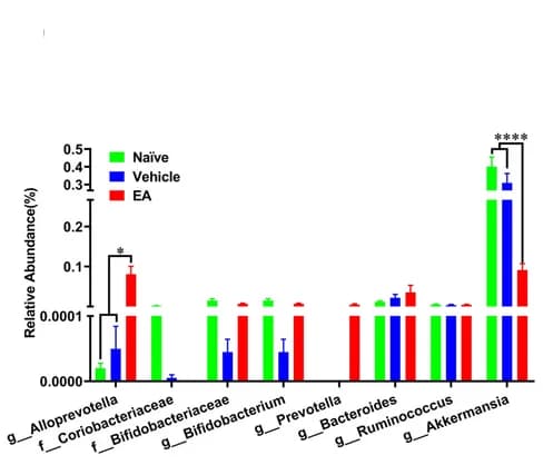 Open access visualization of Bar Plot, Error Bars, Clustered, Gut Bacteria, Relative Abundance