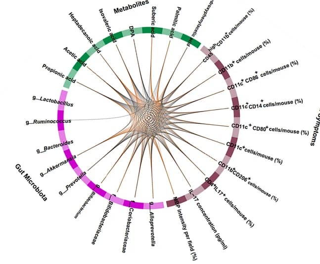 Open access visualization of Network, Chord, Predictors, EA, DIABLO Integrative Modeling