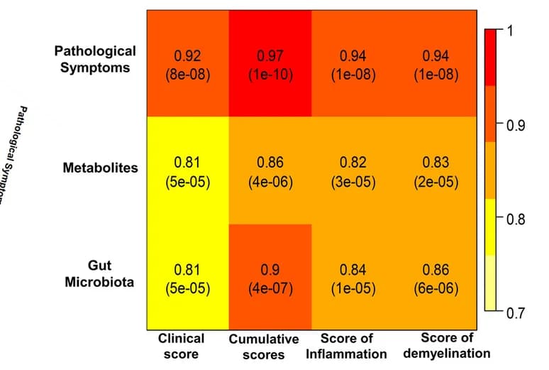 Open access visualization of Heatmap, Correlations, Clinical Disease Scores, Disease Progression, Inflammatory Cell Infiltration