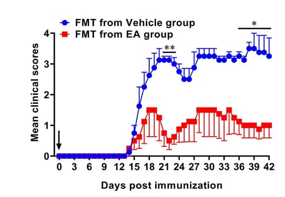 Open access visualization of Line Plot, Error Bars, Clinical Scores, EAE