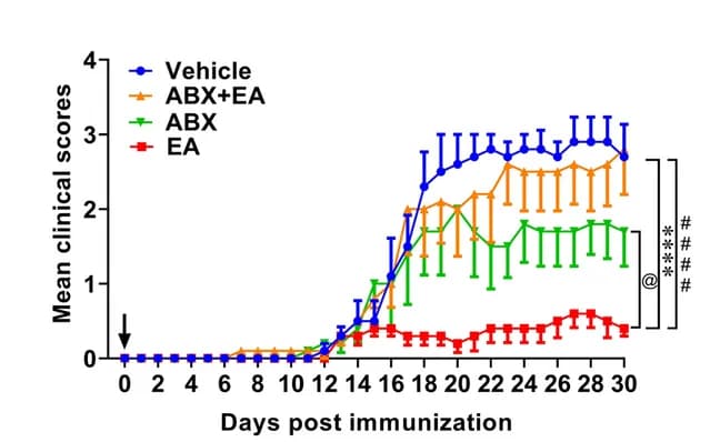 Open access visualization of Line Plot, Error Bars, Clinical Scores, Vehicle, EA
