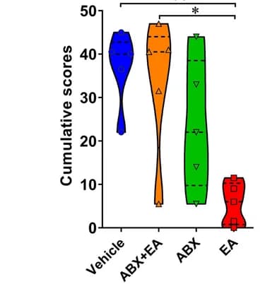 Open access visualization of Violin Plot, Cumulative Scores, EAE, Clinical Scores