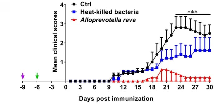 Open access visualization of Line Plot, Error Bars, Disease Score, EAE Mice, Alloprevotella rava
