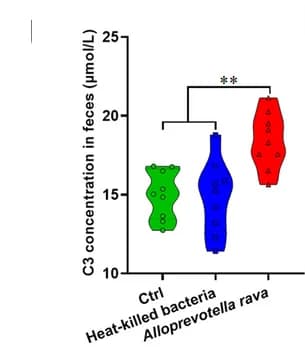Open access visualization of Violin Plot, C3 Content, Serum, EAE Mice, Alloprevotella rava