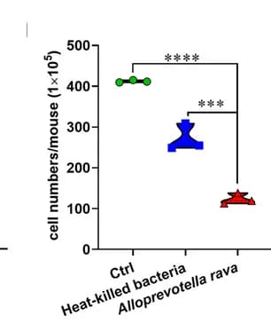 Open access visualization of Box Plot, MNCs, Central Nervous System, EAE Mice
