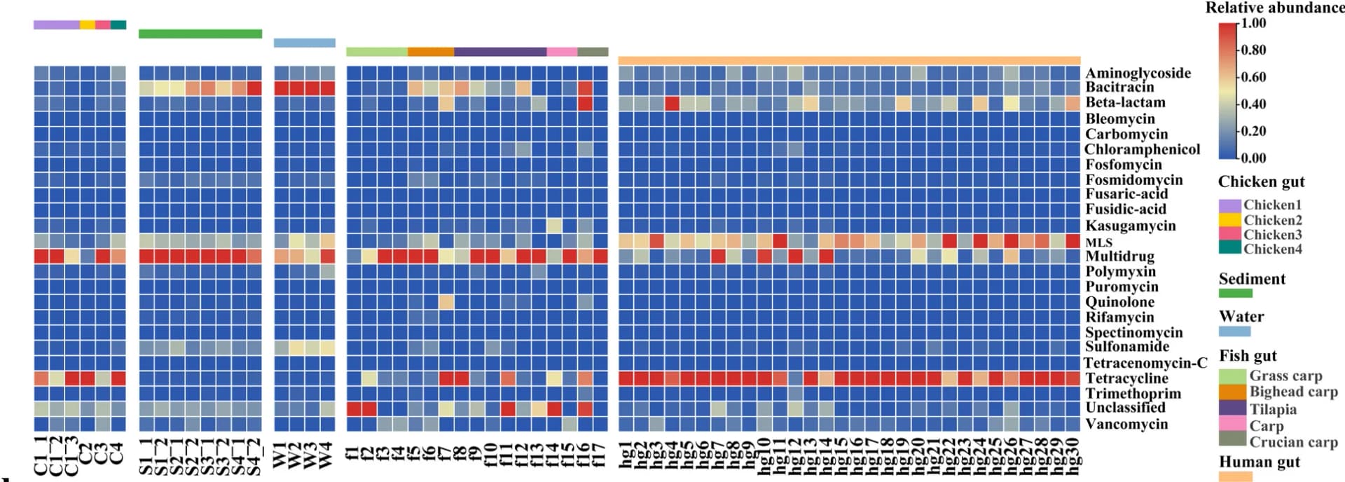 Open access visualization of Heatmap, ARG Abundance, Sample Groups