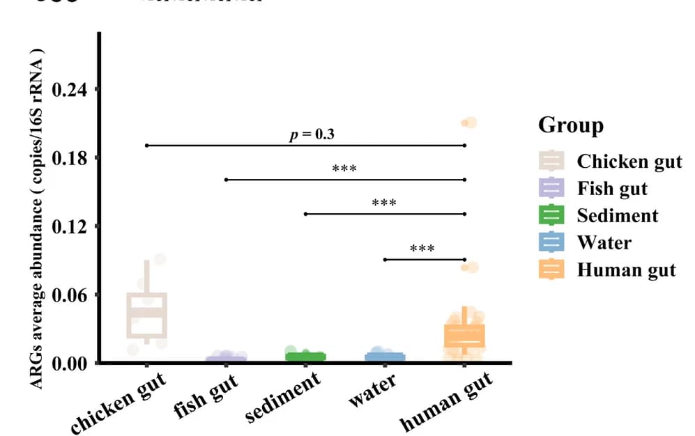 Open access visualization of Box Plot, Scatter Plot, ARG Abundance, Sample Groups, T-test