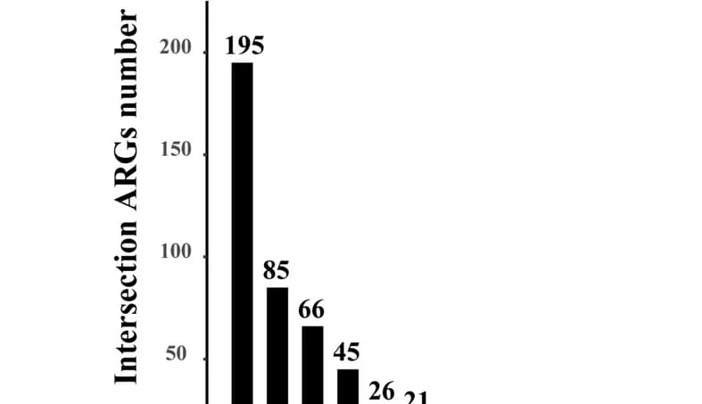 Open access visualization of Bar Plot, UpSet Diagram, ARGs, Sample Groups, ARG Subtypes