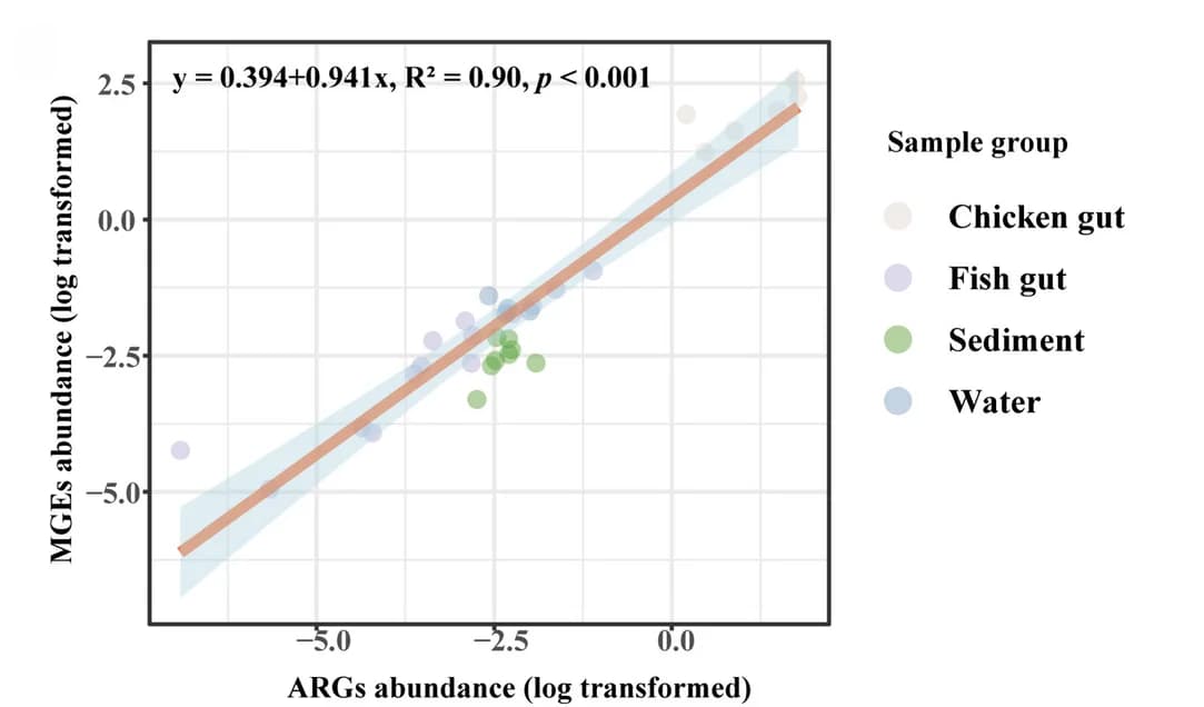 Open access visualization of Scatter Plot, Regression Plot, ARG Abundance, MGE Abundance, Linear Relationship