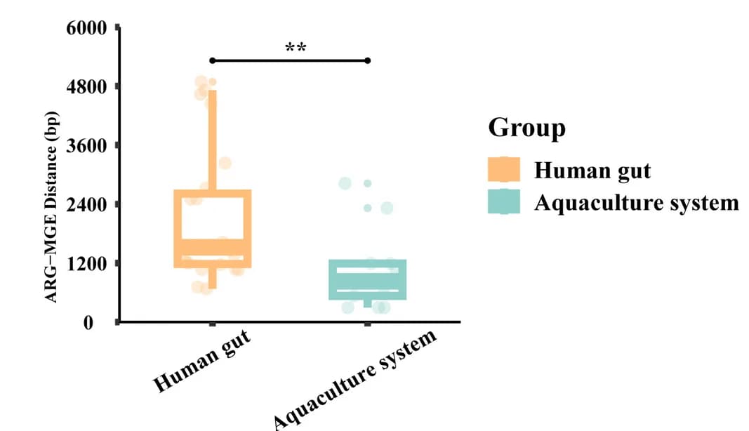 Open access visualization of Box Plot, Scatter Plot, Raincloud Plot, ARGs, MGEs