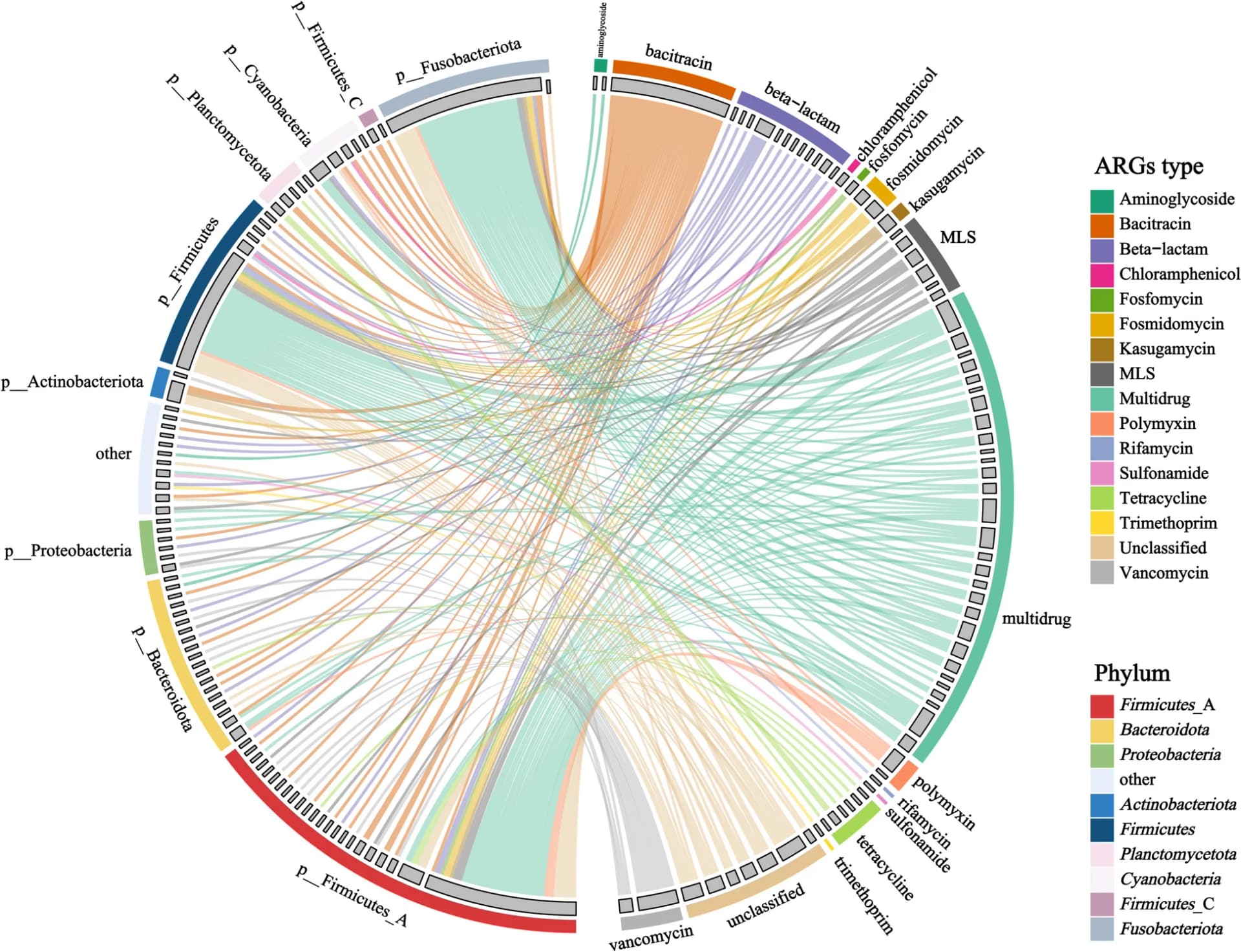 Open access visualization of Chord, Circos Diagram, ARGs, MAGs, Phylum