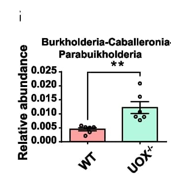 Open access visualization of Bar Plot, Error Bars, Relative Abundance Profiles, Genus Level