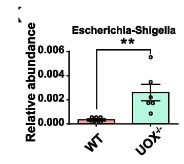 Open access visualization of Bar Plot, Error Bars, Relative Abundance Profiles, Genus Level