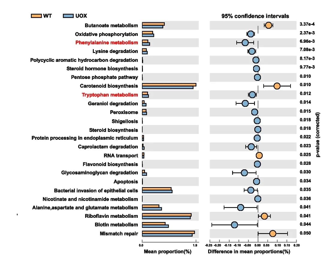Open access visualization of Bar Plot, Error Bars, KEGG Functional Pathway, 16S rRNA Gene Sequences, PICRUSt