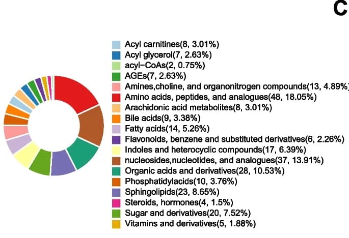 Open access visualization of Donut Chart, Differential Metabolites, WT, UOX, Rats