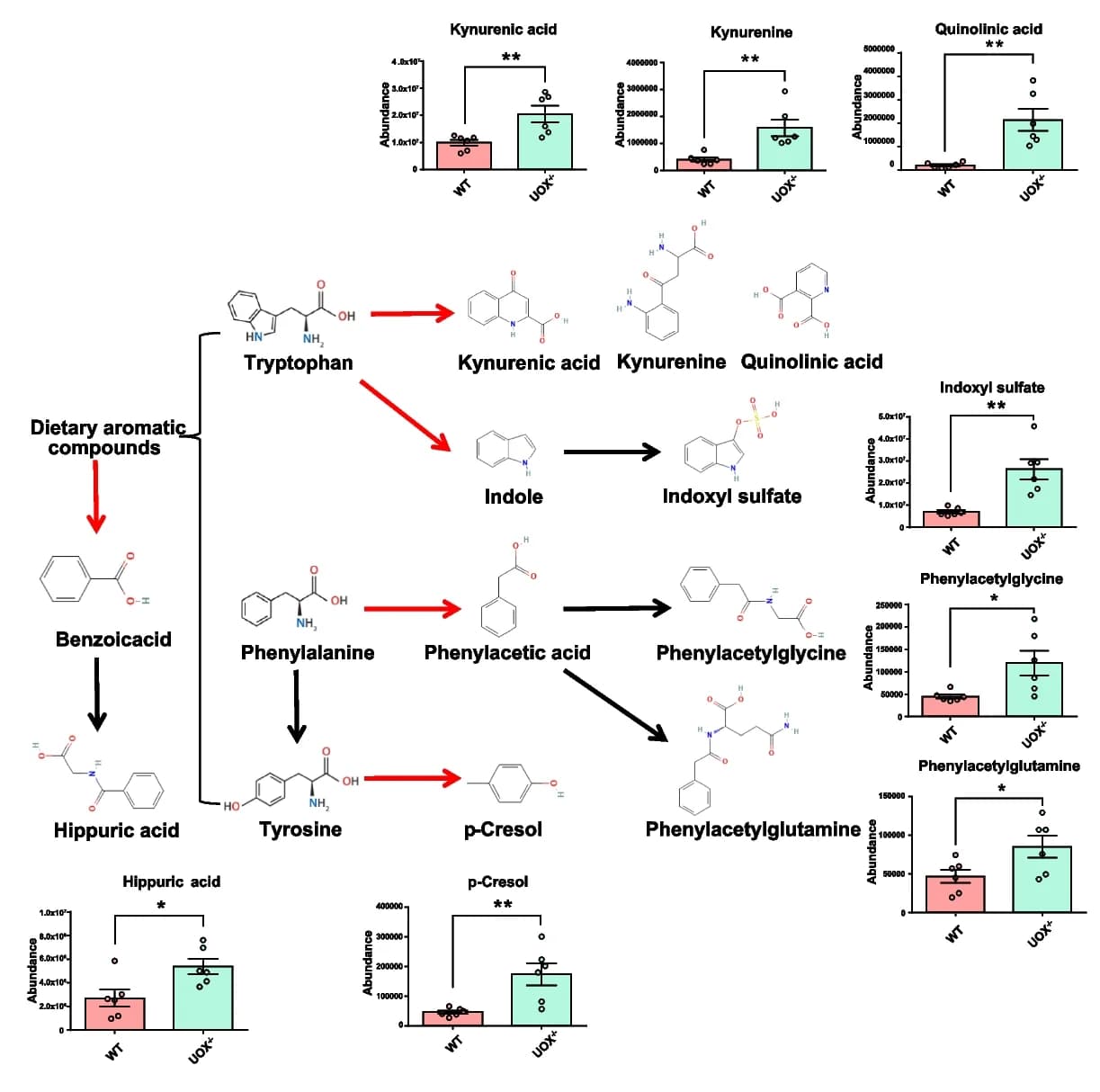 Open access visualization of Workflow, Bar Plot, Differential Metabolites, Aromatic Compounds, Metabolism