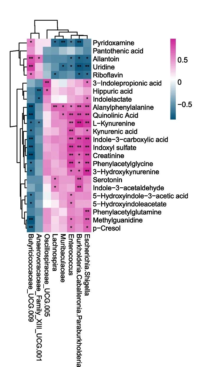 Open access visualization of Heatmap, Clustered, Pearson Correlation, Genus, Metabolites