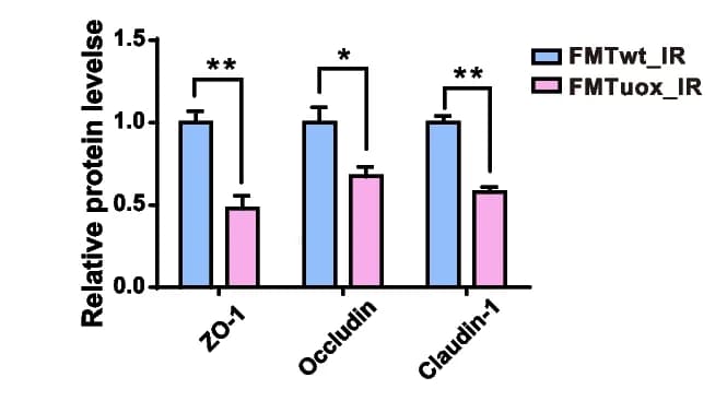 Open access visualization of Bar Plot, Error Bars, Clustered, Tight Junction Proteins, ZO-1