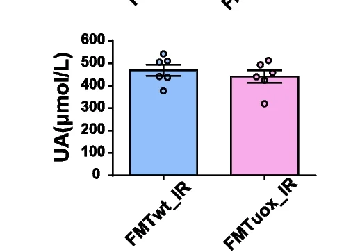 Open access visualization of Bar Plot, Scatter Plot, Error Bars, Uric Acid, Recipient Mice