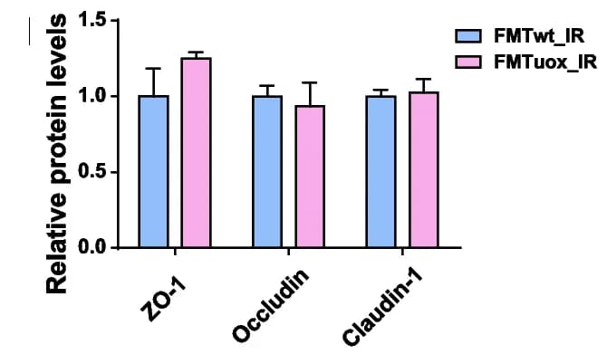 Open access visualization of Bar Plot, Error Bars, Clustered, ZO-1, Occludin