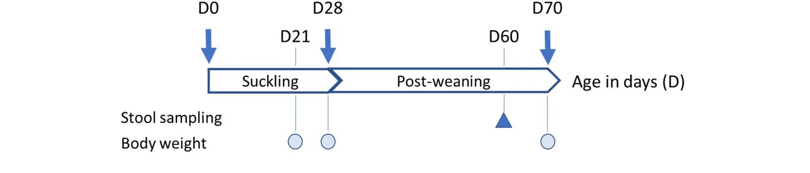 Open access visualization of Workflow, Flowchart, Illustration, Animal Protocol, Stratification