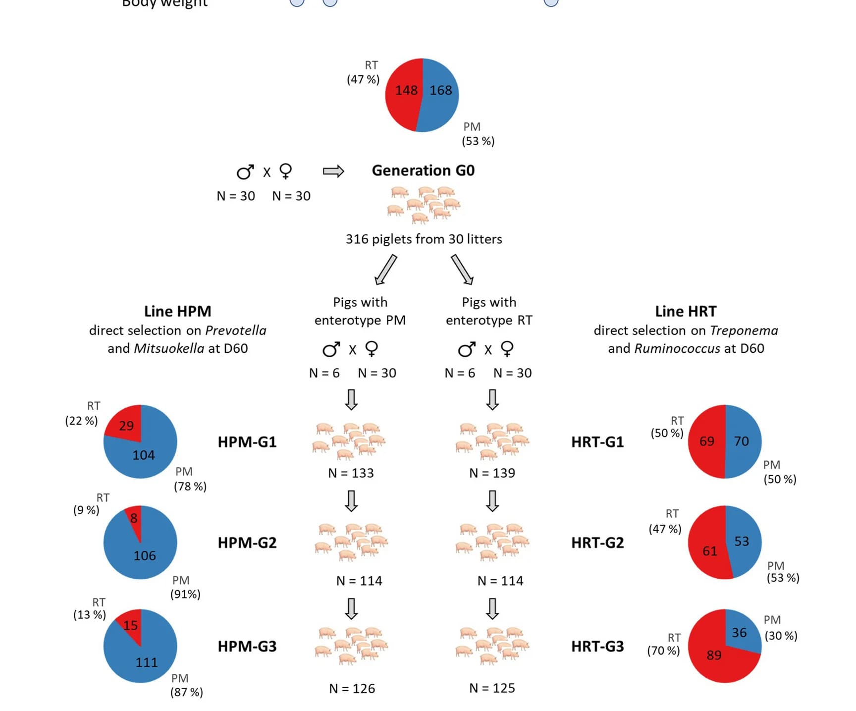 Open access visualization of Pie Chart, Workflow, Selection Strategy, Pig Lines, Generations