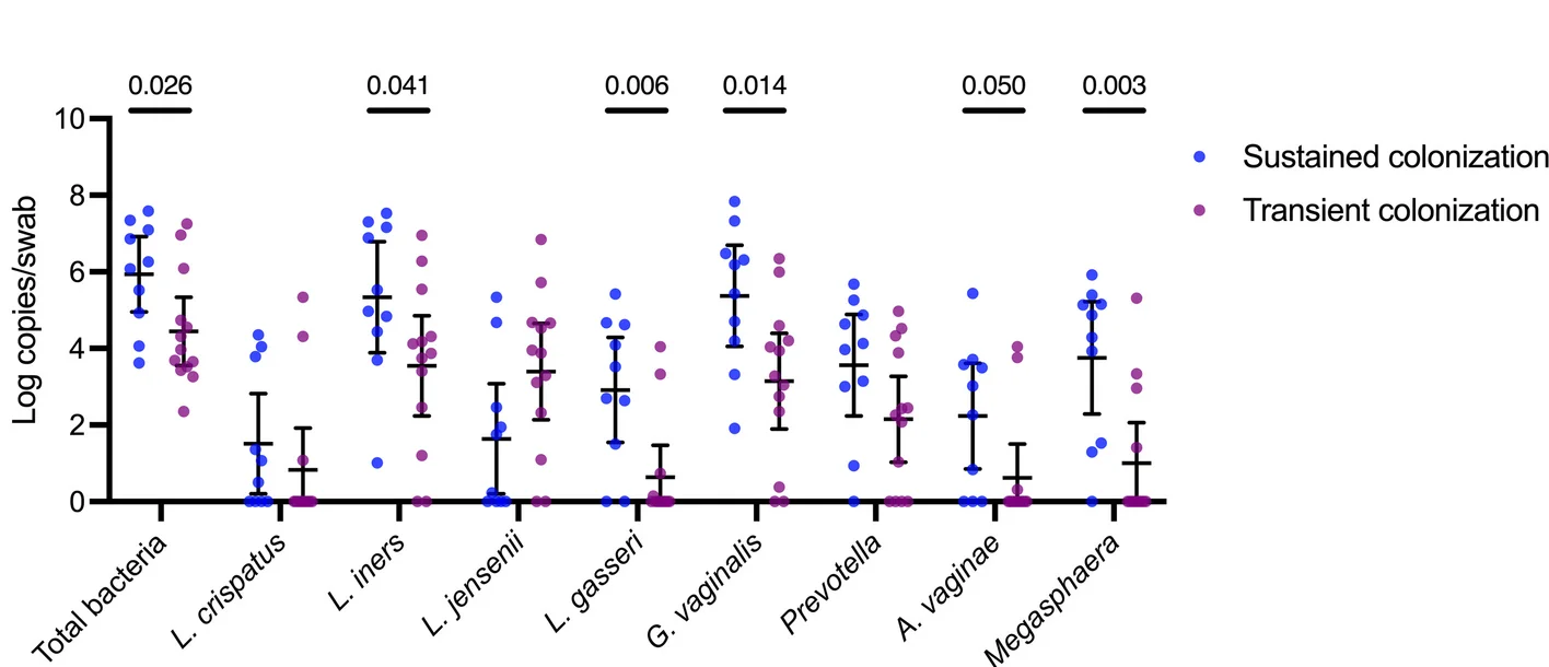 Open access visualization of Scatter Plot, Error Bars, Bacterial Absolute Abundance, LACTIN-V, Sustained Colonization