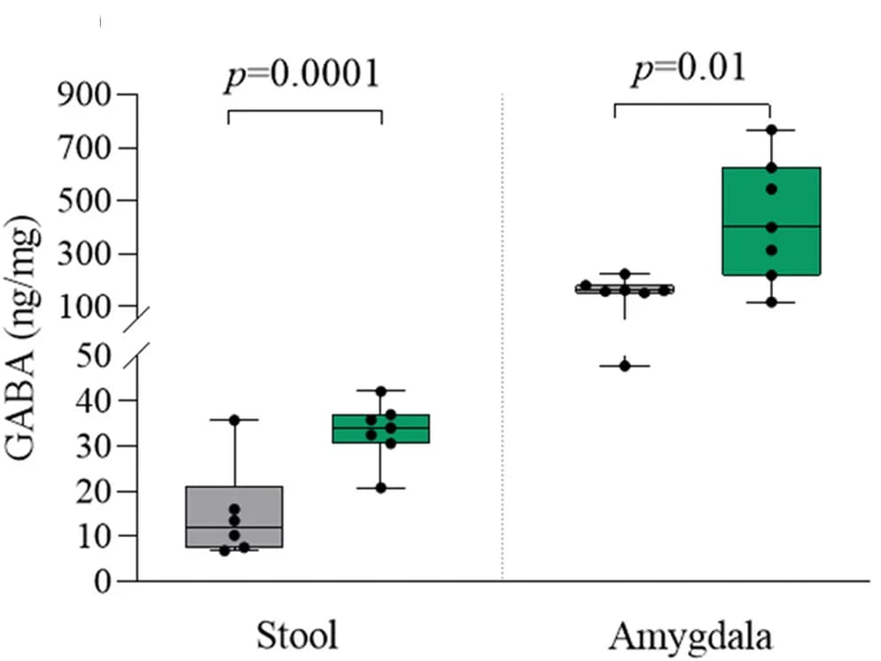 Open access visualization of Box Plot, Scatter Plot, GABA, Stool, Amygdala Tissues