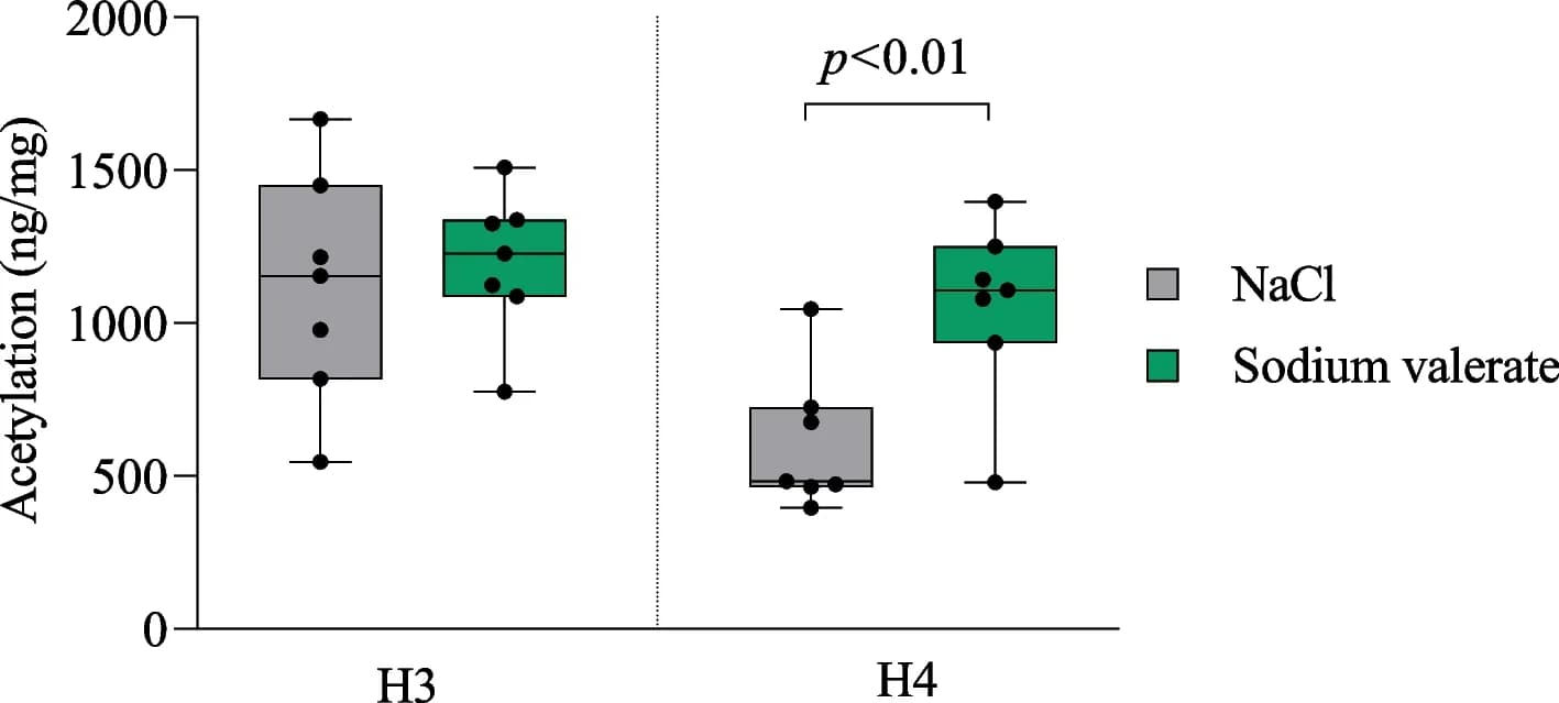 Open access visualization of Box Plot, Scatter Plot, Sodium Valerate, Histone Acetylation, Amygdala