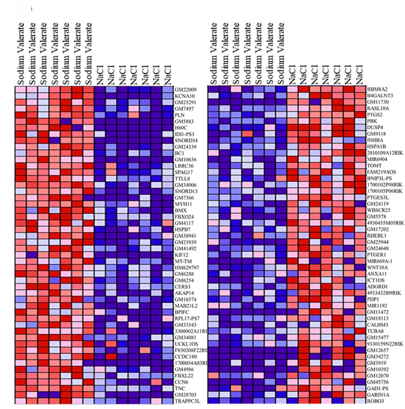 Open access visualization of Heatmap, Upregulated DEGs, Downregulated DEGs, Sodium Valerate, NaCl