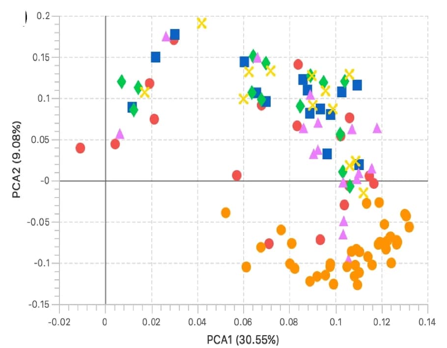 Open access visualization of Scatter Plot, PCA, PCA Analysis, CD Groups, EEN