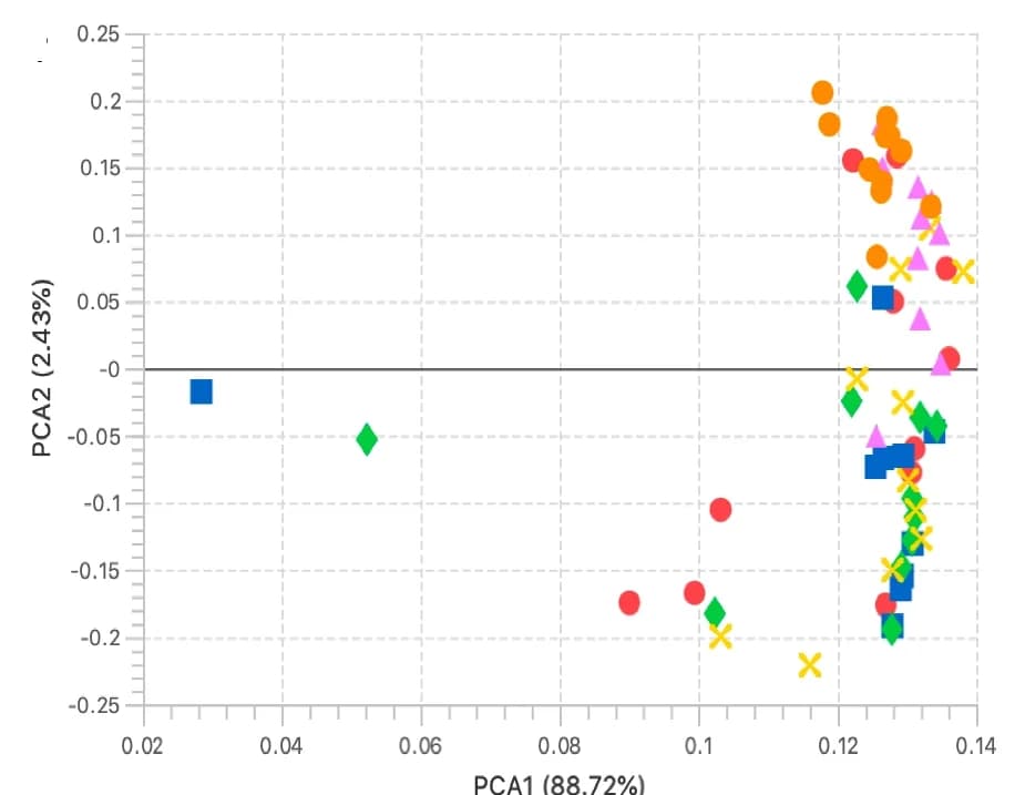 Open access visualization of PCA, Scatter Plot, PCA Analysis, Faecal Metabolomic Data, CD Patients