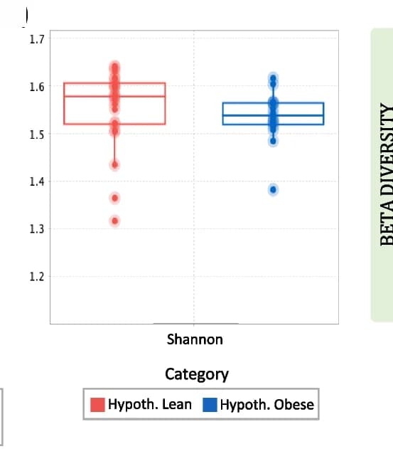 Open access visualization of Box Plot, Scatter Plot, Shannon Diversity, Hypothalamic Lean Participants, Hypothalamic Obese Participants