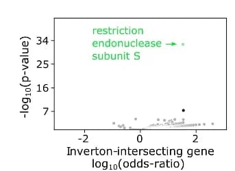 Open access visualization of Volcano Plot, Scatter Plot, Gene Families, Inverton Intersection, Odds Ratio