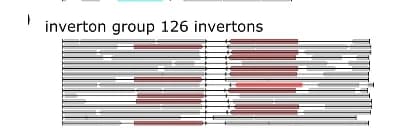 Open access visualization of Illustration, Genome Diagram, Inverton, Invertase