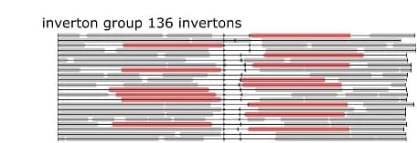 Open access visualization of Illustration, Genome Diagram, Inverton, Invertase
