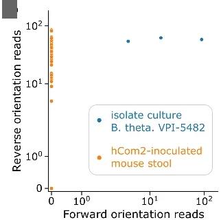 Open access visualization of Scatter Plot, Read Count, Scatterplot, Inverton, Orientation
