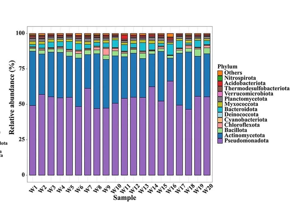 Open access visualization of Stacked Bar Plot, Taxonomic Composition, Wastewater Treatment Plant Samples, Phylum Level