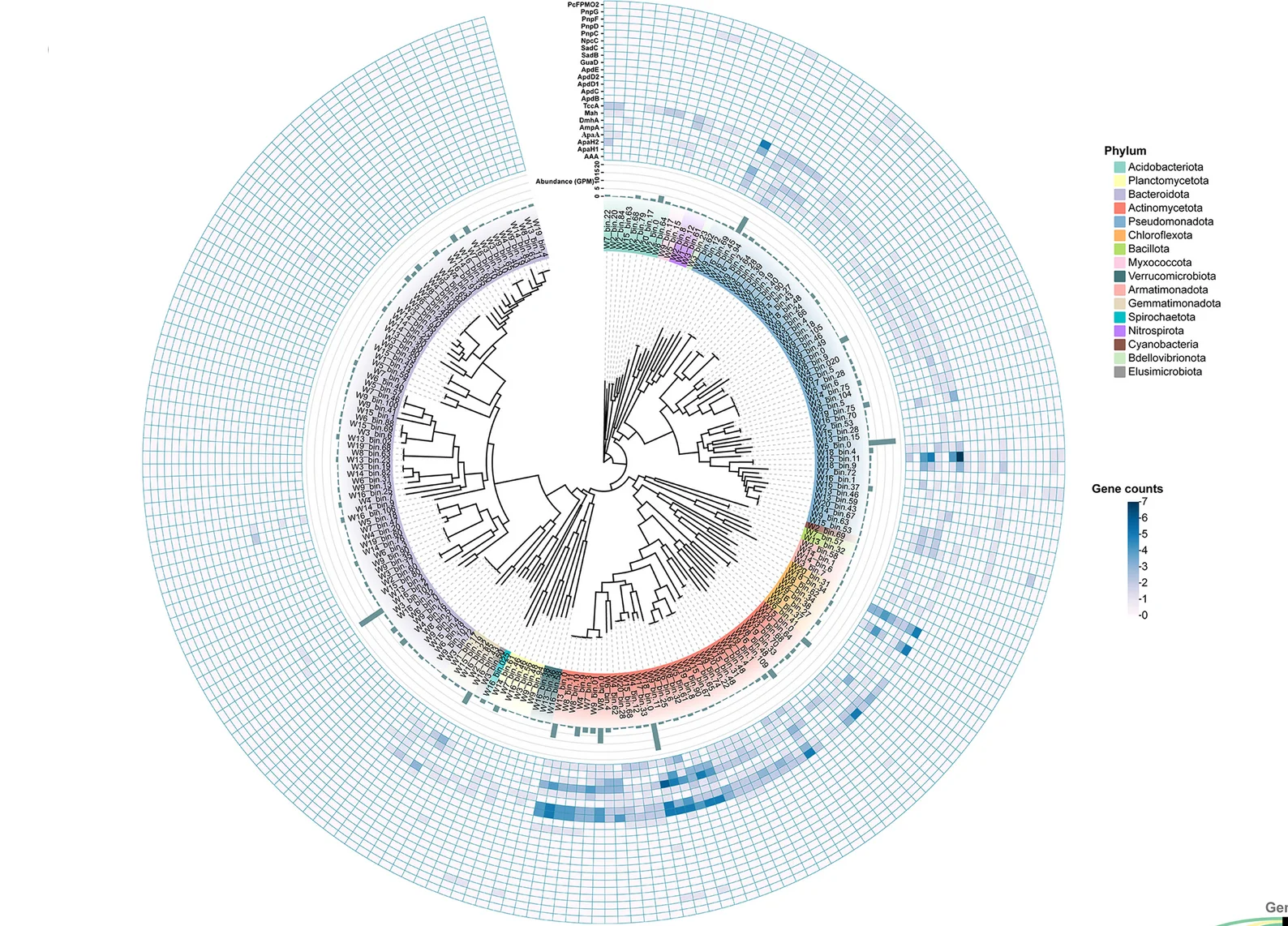 Open access visualization of Heatmap, Network, Pathway, Bar Plot, Phylogenetic Trees
