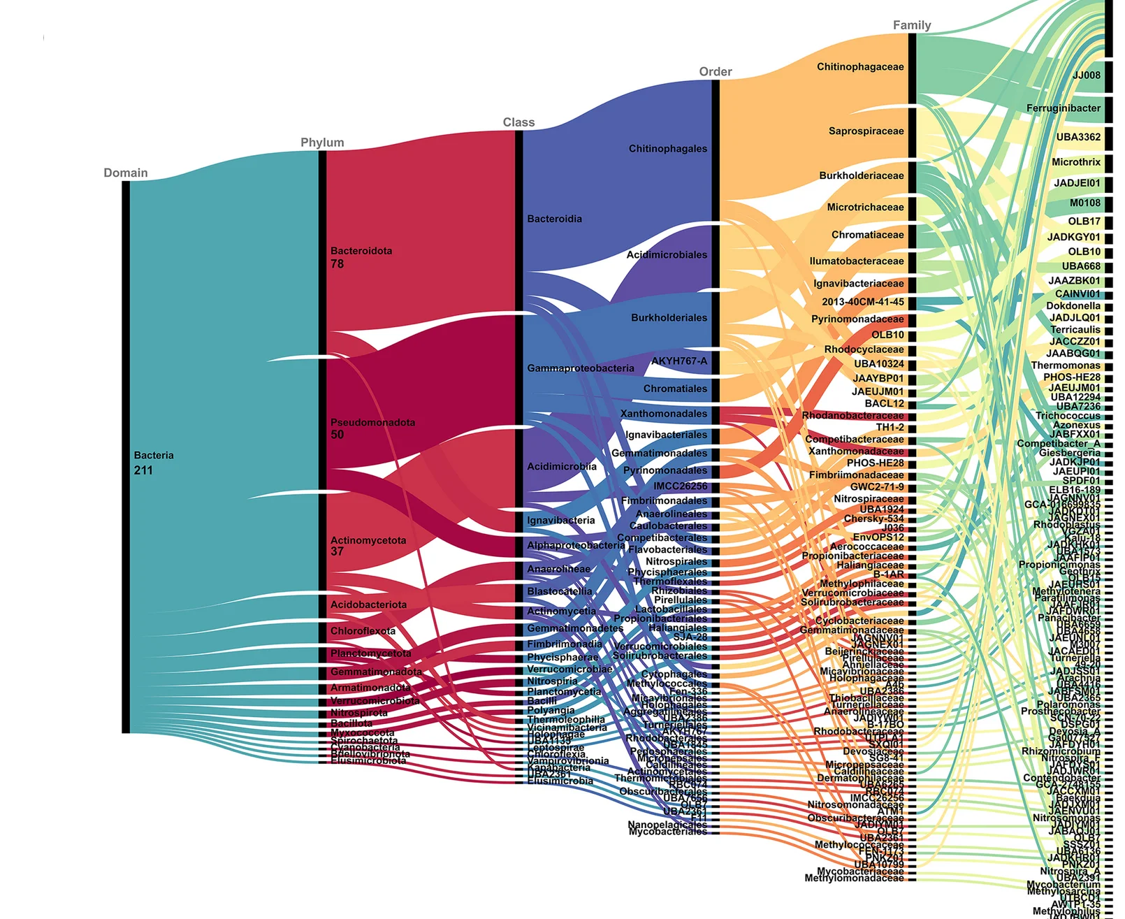 Open access visualization of Sankey, Taxonomy, Bacterial MAGs, GTDB Classification
