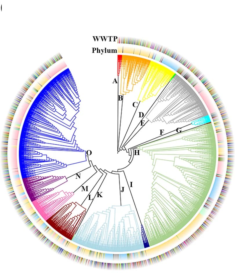 Open access visualization of Network, Pathway, Phylogenetic Tree, APAP amidase, Metagenomes