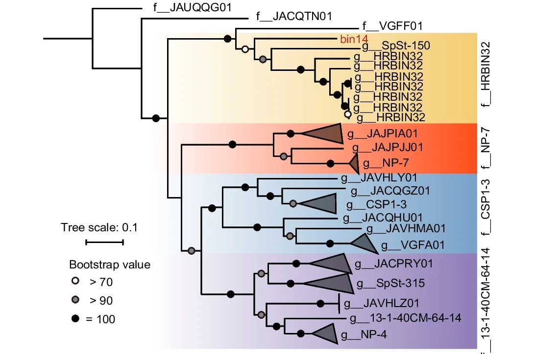 Open access visualization of Network, Pathway, Phylogenomic Tree, CSP1-3, GTDB Database