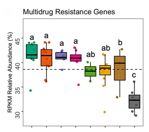 Open access visualization of Box Plot, Scatter Plot, Relative Abundance, Multidrug Resistance, ANOVA