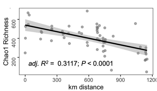 Open access visualization of Scatter Plot, Regression Plot, ARGs, Chao1 Richness, Baltic Sea