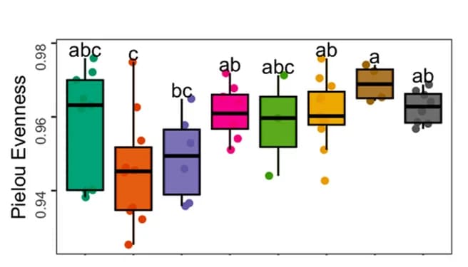 Open access visualization of Box Plot, Scatter Plot, Pielou Evenness, Region, ANOVA