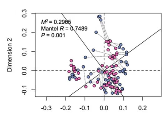 Open access visualization of Scatter Plot, ARG Profile, MRG, Procrustes Analysis, Mantel Test