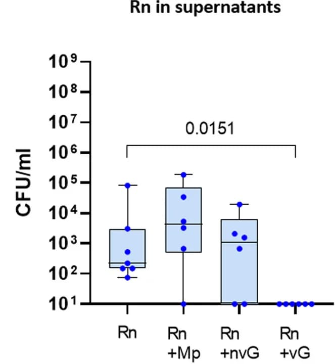 Open access visualization of Box Plot, Scatter Plot, Rothia nasimurium, Porcine Nasal Organoids, Moraxella pluranimalium
